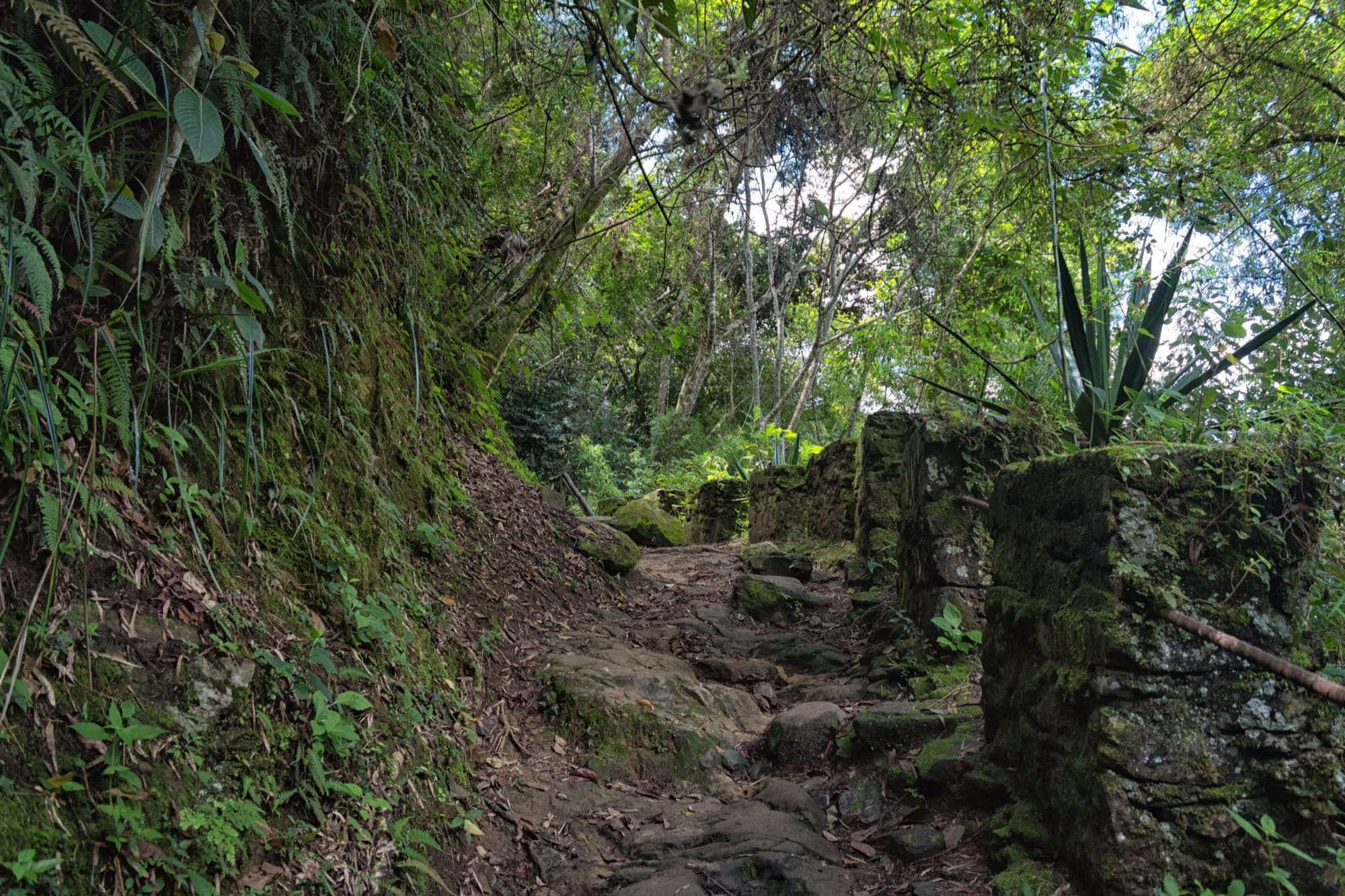 Mountains & páramo