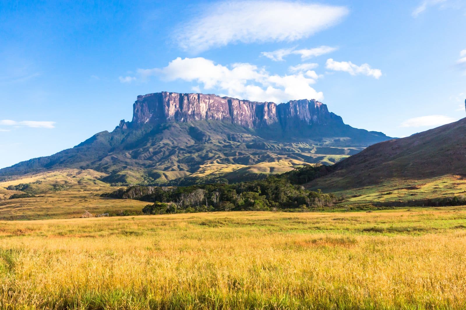 Gran Sabana tepui landscape in Venezuela
