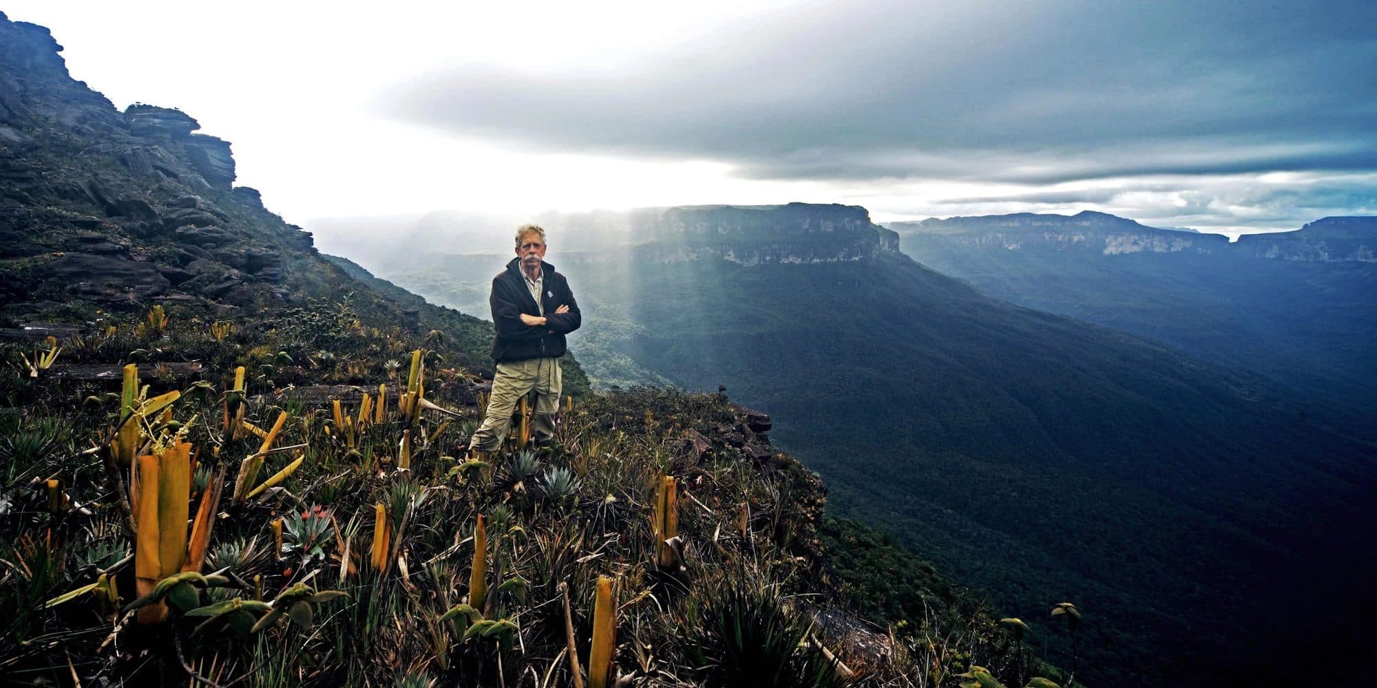 Brocchinia bromeliads on a tepui, the Muchimuk region