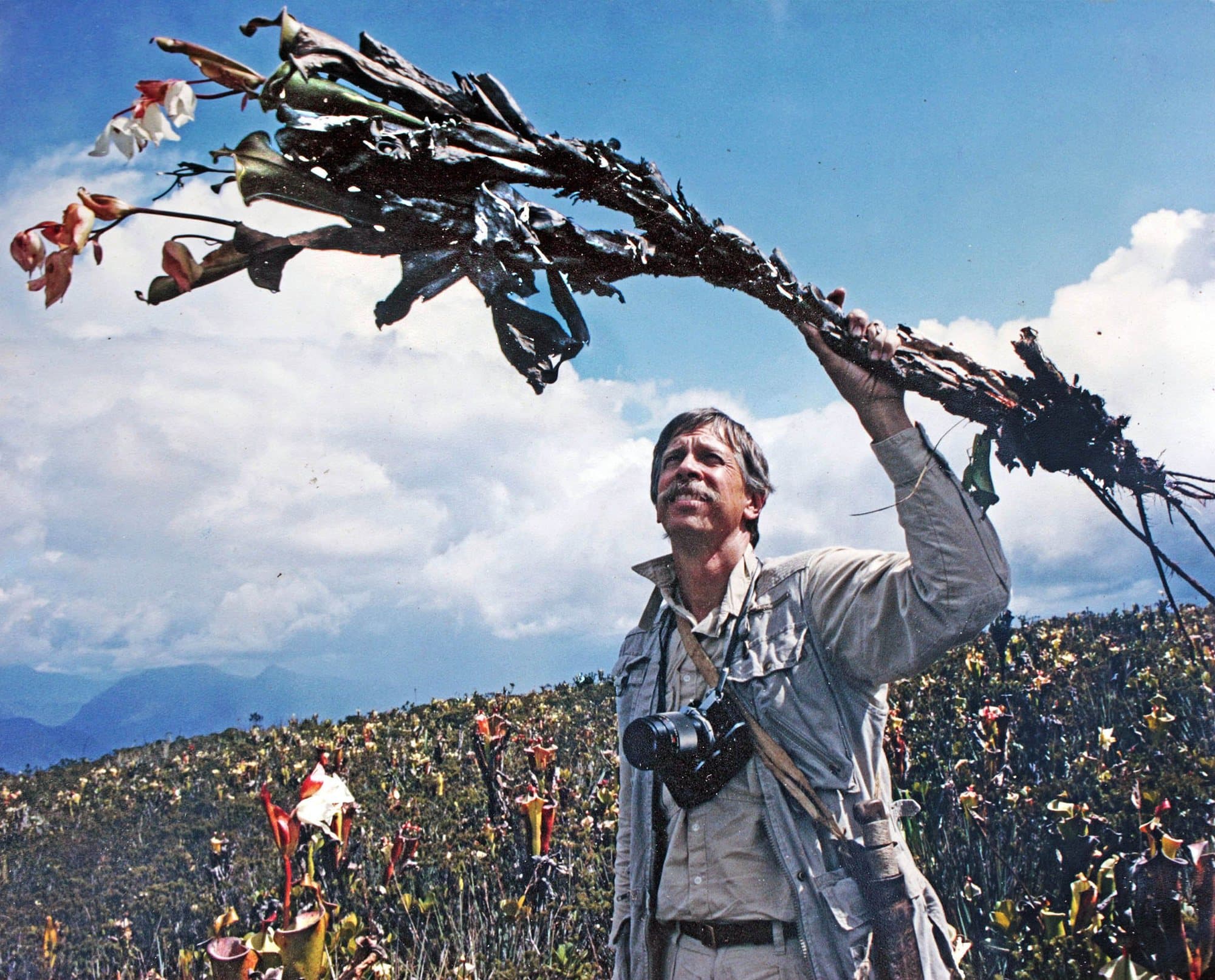 Charles Brewer-Carías holding up a Heliamphora huachamakari pitcher plant on Cerro Duida