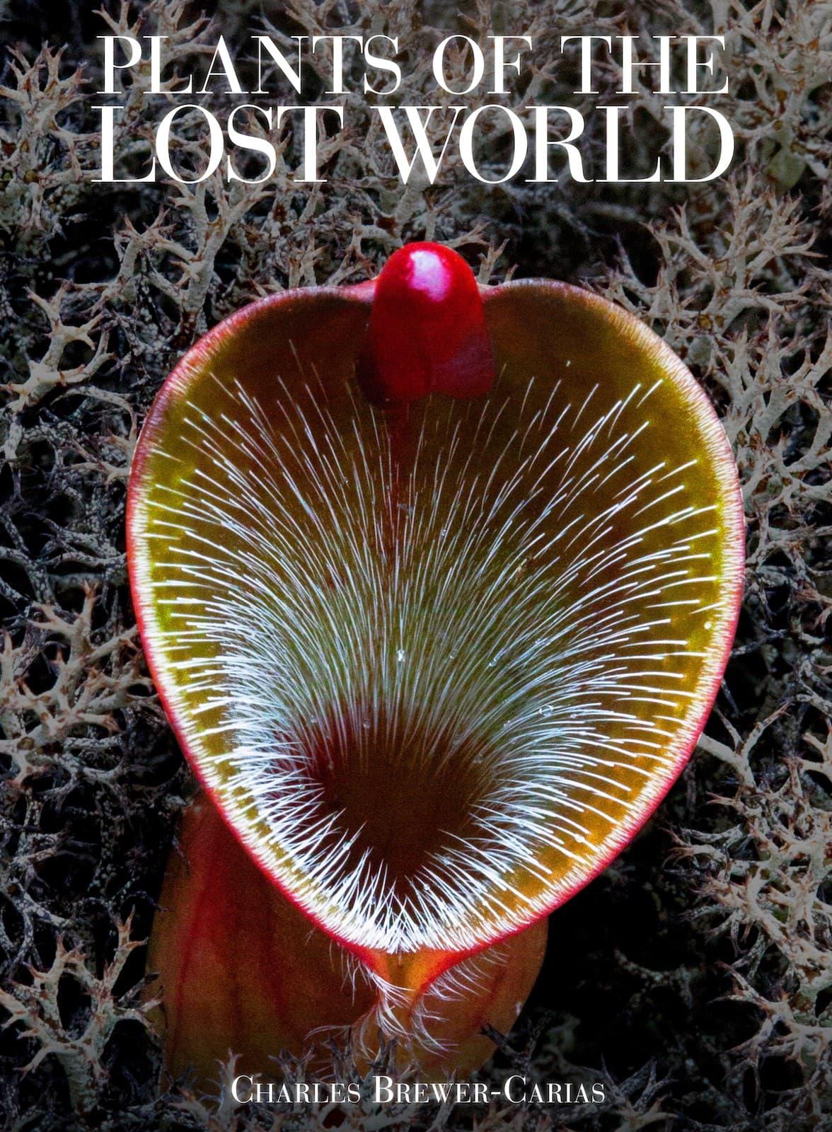 Cover of Plants of the Lost World