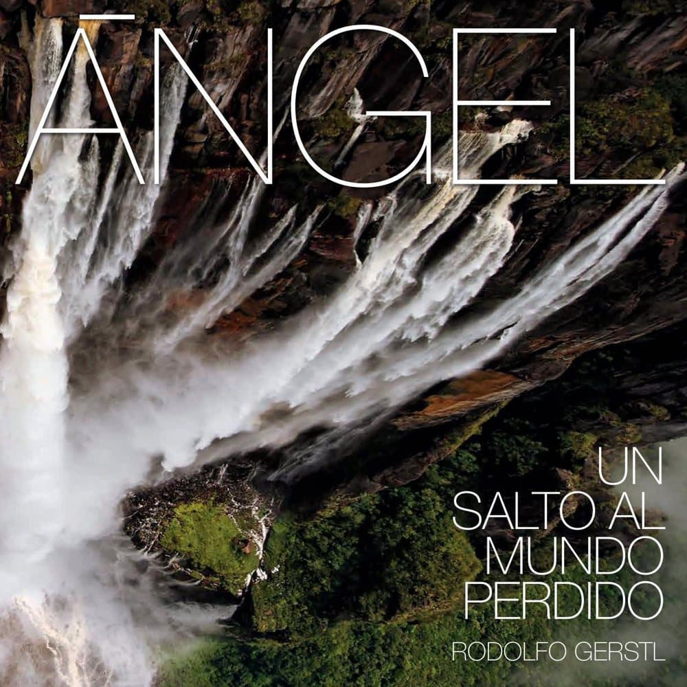 Cover of Ángel, un salto al mundo perdido